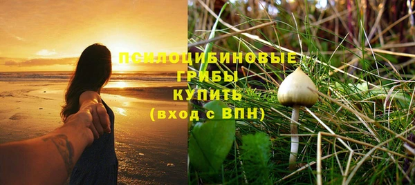 тгк Бугульма