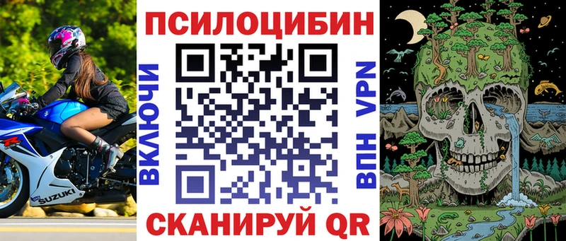 Галлюциногенные грибы Psilocybe Пенза